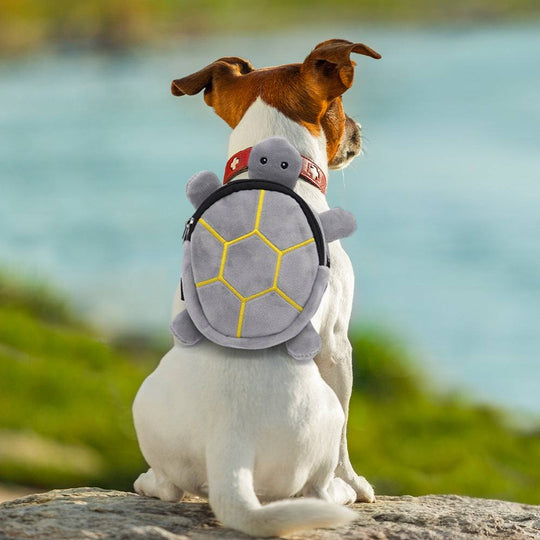 Mochila pet em formato de tartaruga, cinza com detalhes amarelos, usada por um cão de pelagem branca e marrom.