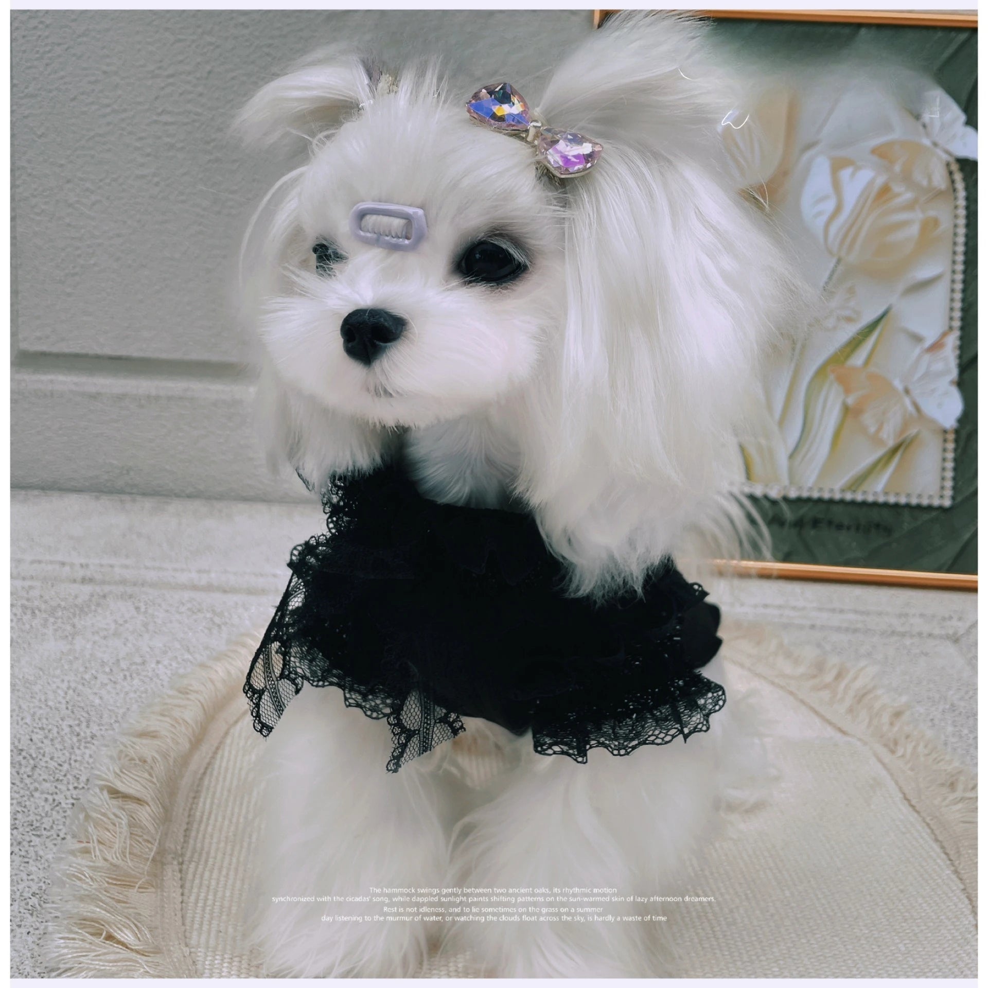 Pet Autumn/Winter Thin Velvet Bottom Shirt Yorkshire Teddy Bottom Lace Bow Elastic Tank Top Dog Clothes for Small Dogs Puppy
