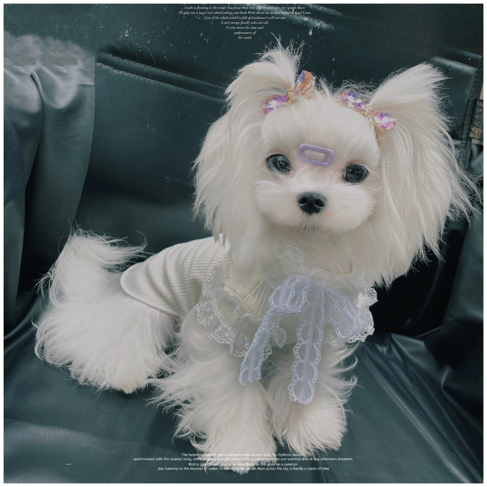 Pet Autumn/Winter Thin Velvet Bottom Shirt Yorkshire Teddy Bottom Lace Bow Elastic Tank Top Dog Clothes for Small Dogs Puppy